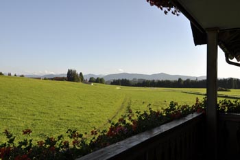 DSC_0093